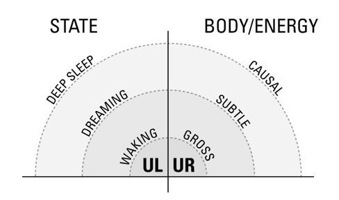 States-Body-Graph