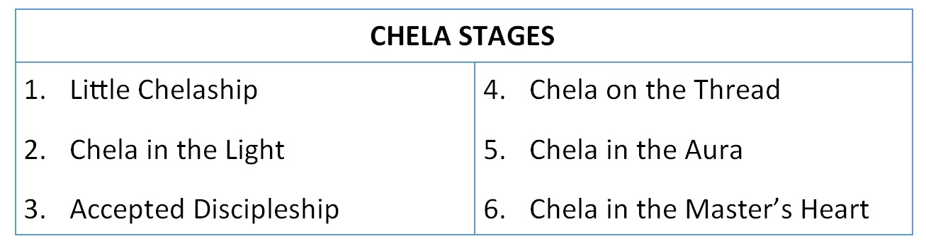 Chela Stages