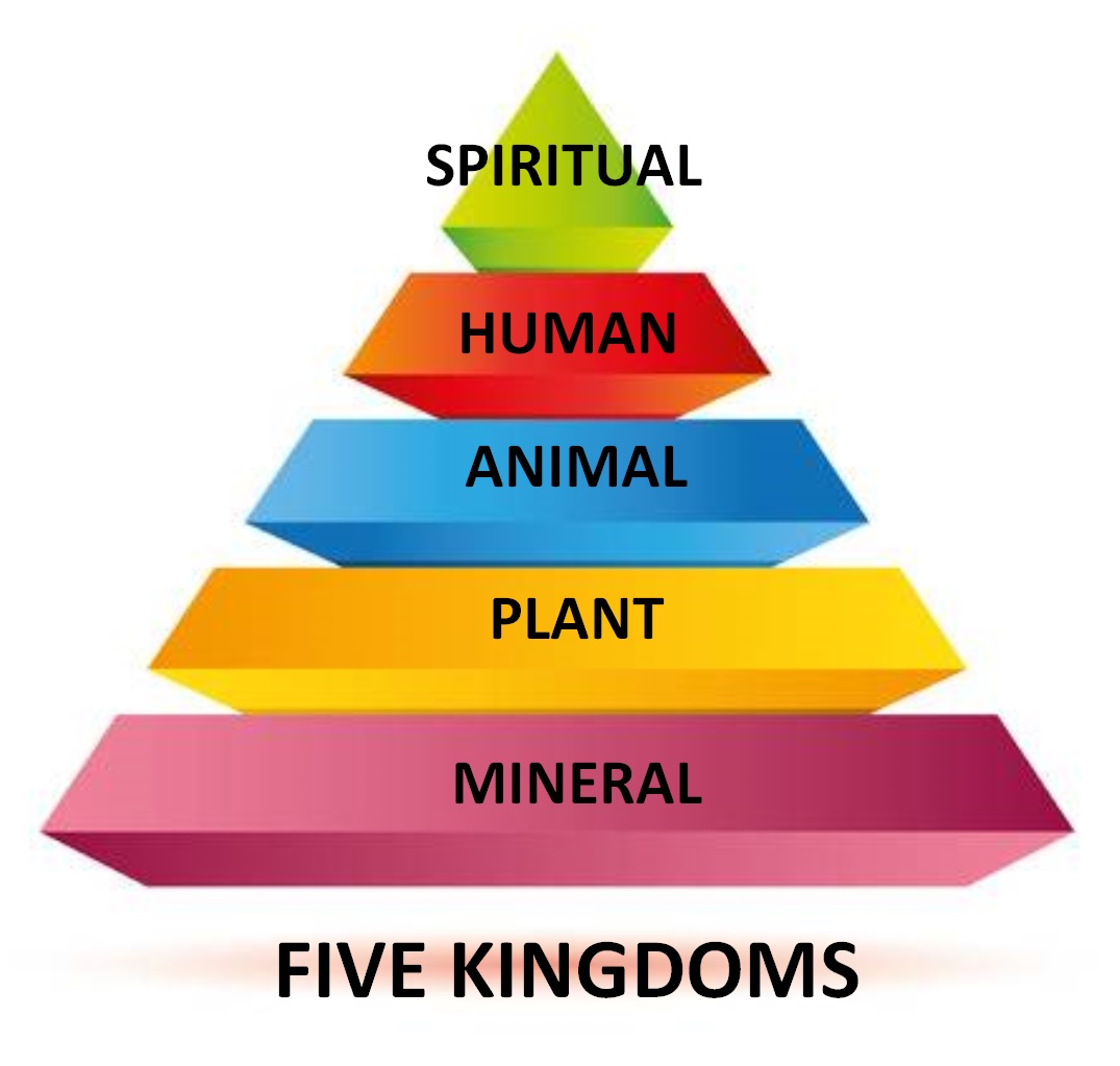 Five Kingdoms
