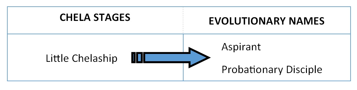 Chela Beginning Stages