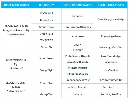 Stages Groups Names Petals